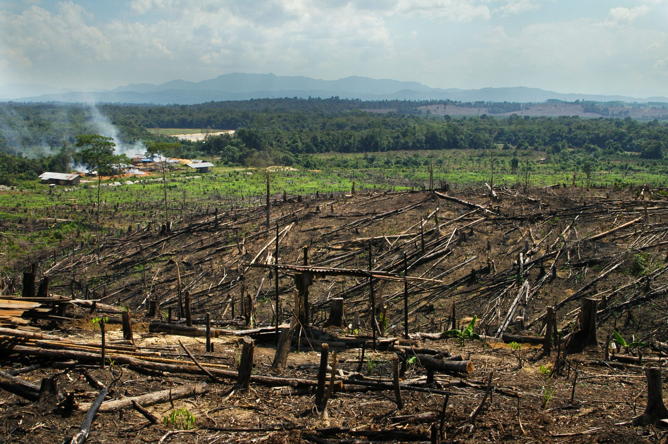 Sumatra burning
