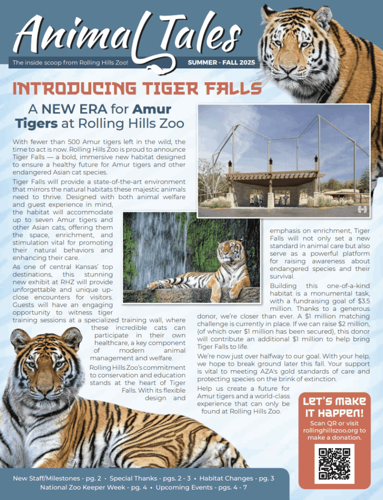 Tiger Falls