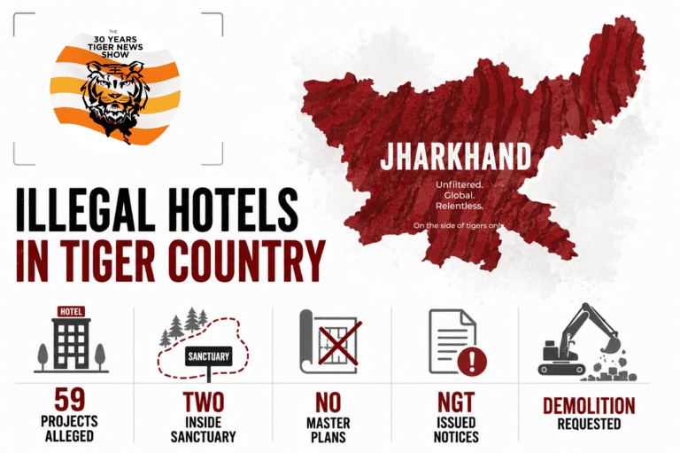 Illegal hotels