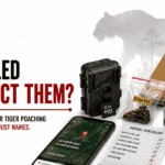 NTCA-probe