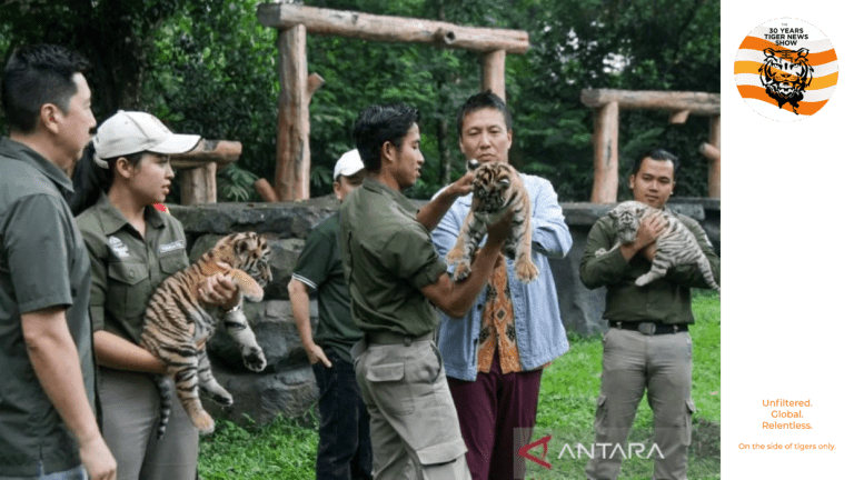 Taman Safari