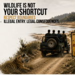 Illegal entry
