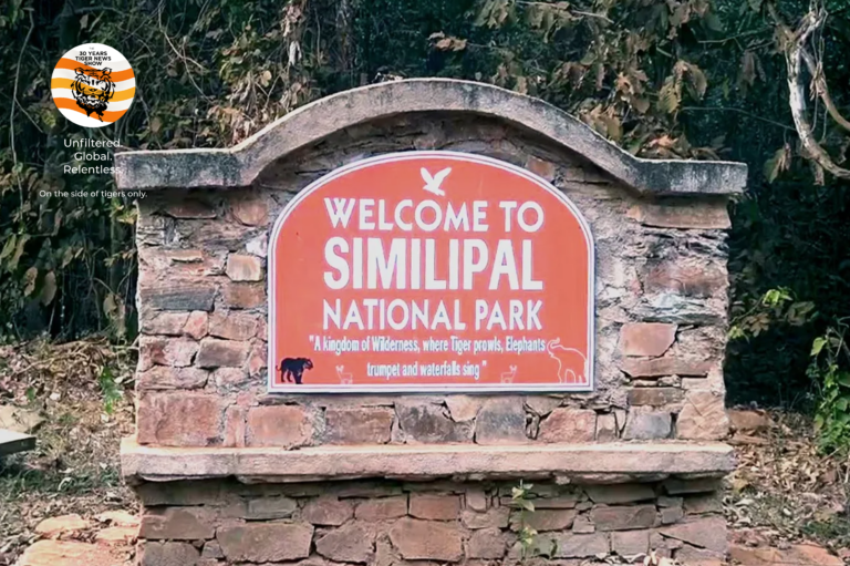 Similipal