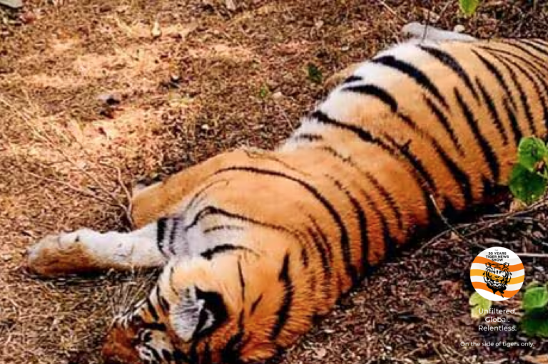 Subit Chakraborty